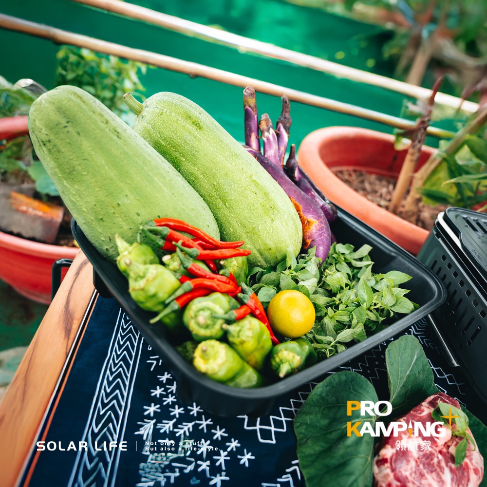 Pro Kamping領航家 兩用瓦斯煎烤爐 (含提袋) 瓦斯卡式爐 MS-8 MINI.瓦斯卡式爐 露營瓦斯爐-細節圖3