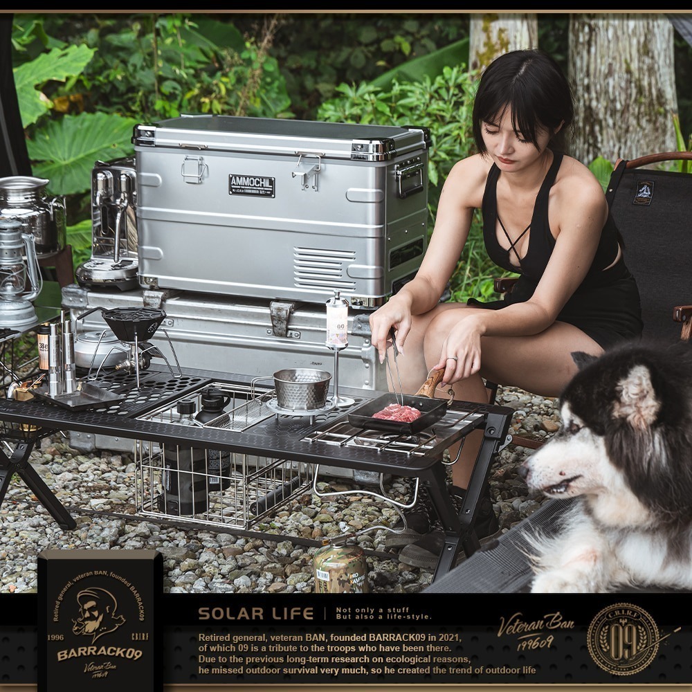 Barrack09 AMMOCHILL雙槽雙溫控車載行動冰箱35L.露營車用冰箱 車載電冰箱 冷凍壓縮機-細節圖8