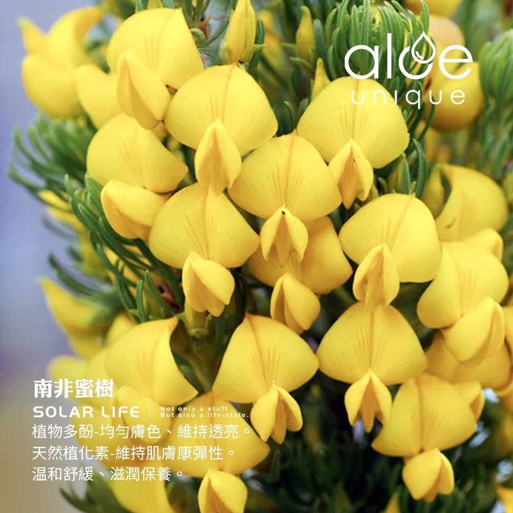 aloe unique 優尼客 開普蘆薈全身潔淨露 150ml.溫和洗髮洗臉 三合一沐浴乳 天然純素植萃 乾肌適用-細節圖5