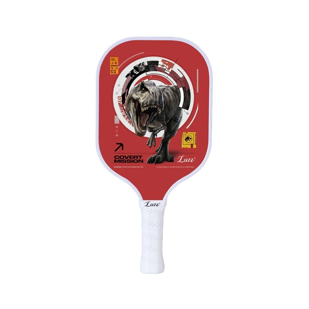 美國Luzz T700碳纖維匹克球拍/USAPA認證.Pickleball Paddle 碳纖維 比賽球拍 兒童球拍-規格圖5