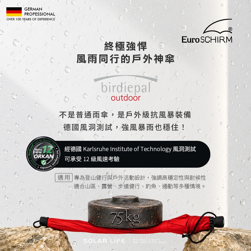 德國EuroSCHIRM  birdiepal 戶外專用風暴傘.登山雨傘 戶外健行傘 抗強風雨傘 衝鋒傘直傘 輕量颶風傘-細節圖2