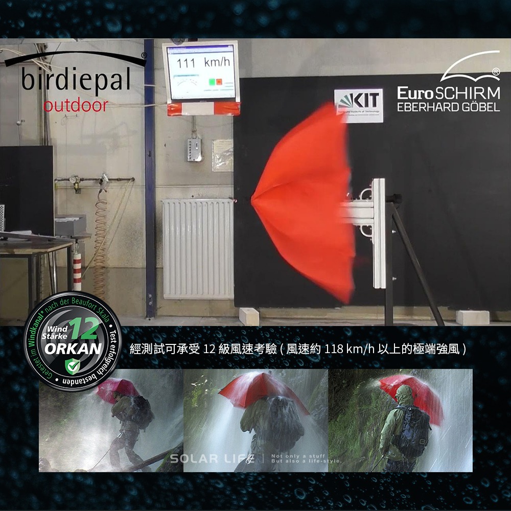 德國EuroSCHIRM  birdiepal 戶外專用風暴傘.登山雨傘 戶外健行傘 抗強風雨傘 衝鋒傘直傘 輕量颶風傘-細節圖3