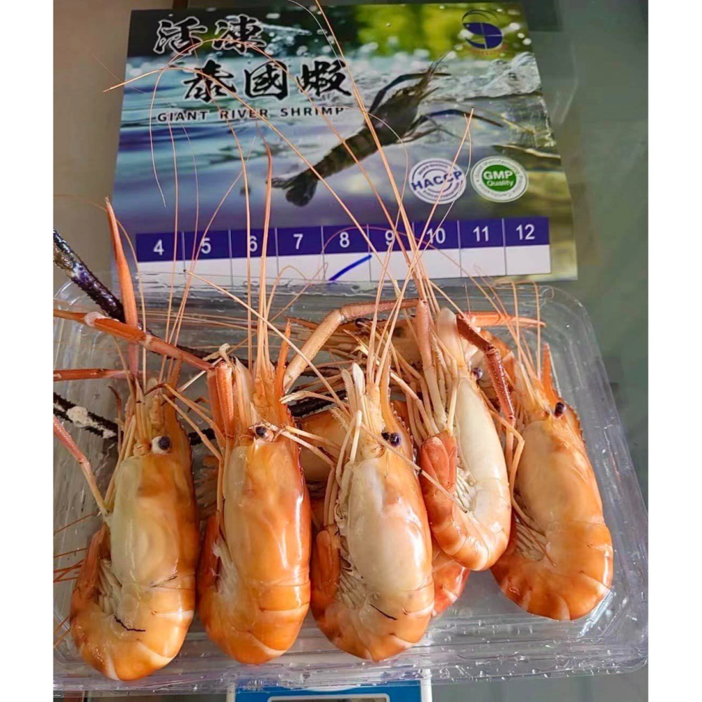 【新臺澎海產總匯】活凍泰國蝦(8P)-細節圖3