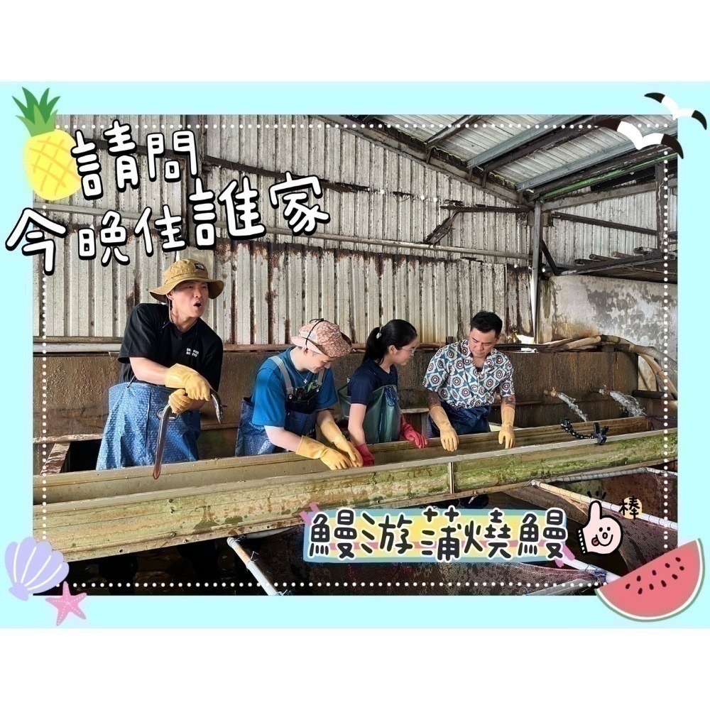 【鰻游】＂大尾＂鰻游蒲燒鰻（白鰻）-細節圖2