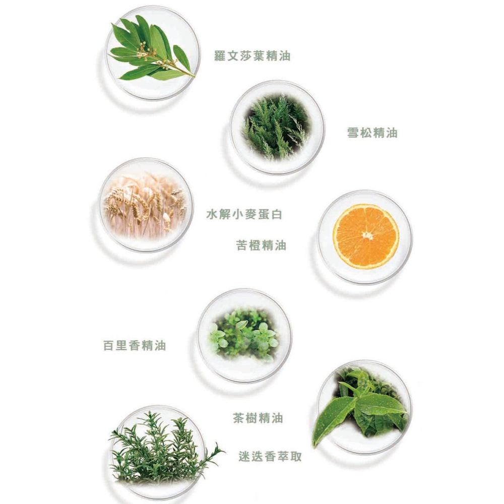 【有好事】愛比森 飄逸輕絲精油洗髮精300ml洗髮露 小麥蛋白 胺基酸 澎鬆輕盈 油性髮質適用｜官方授權-細節圖5