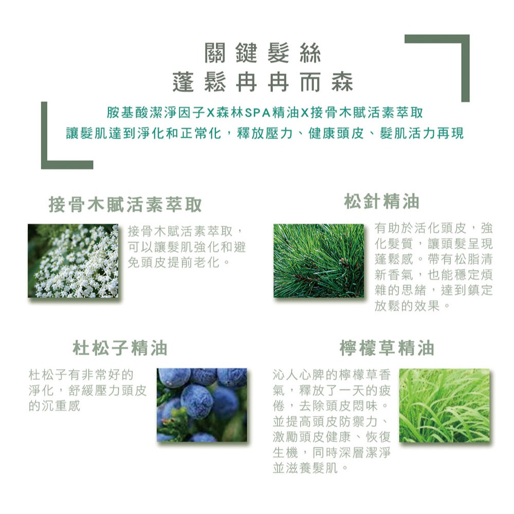 【有好事】 愛比森 冉冉而森精油洗髮精300ml 洗髮露 小麥蛋白 胺基酸 澎鬆輕盈 油性髮質適用 ｜官方授權-細節圖6