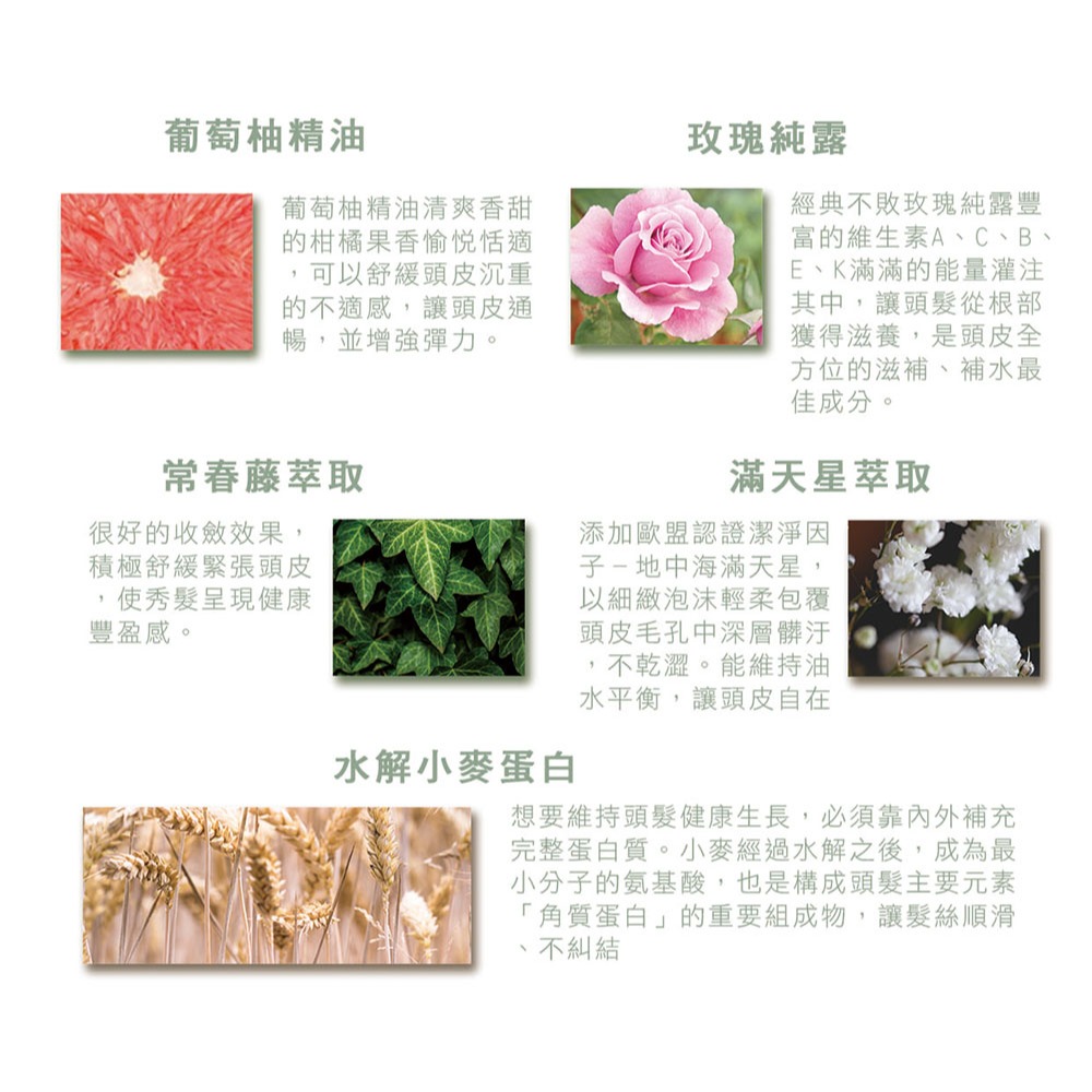 【有好事】 愛比森 冉冉而森精油洗髮精300ml 洗髮露 小麥蛋白 胺基酸 澎鬆輕盈 油性髮質適用 ｜官方授權-細節圖7