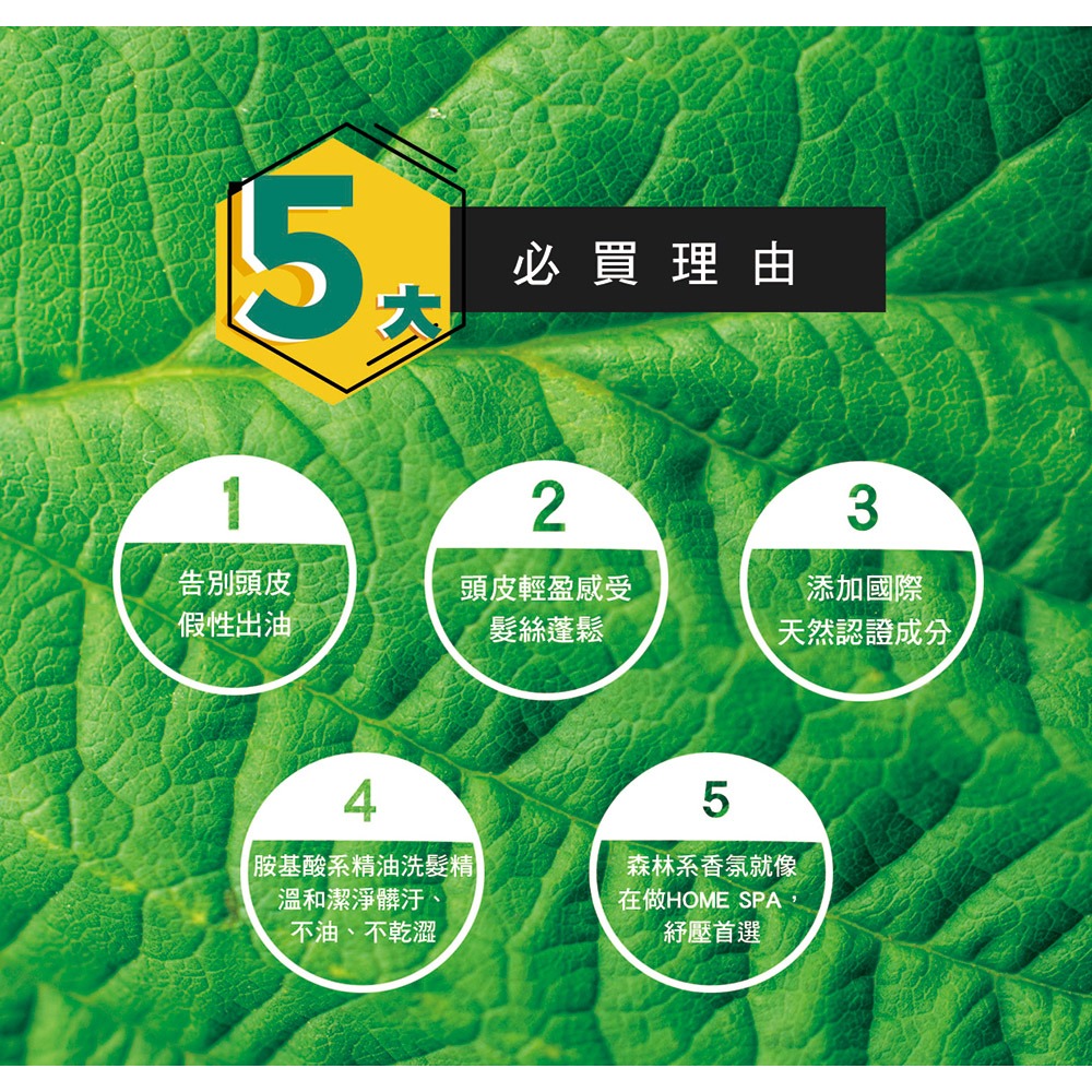 【有好事】 愛比森 冉冉而森精油洗髮精300ml 洗髮露 小麥蛋白 胺基酸 澎鬆輕盈 油性髮質適用 ｜官方授權-細節圖8