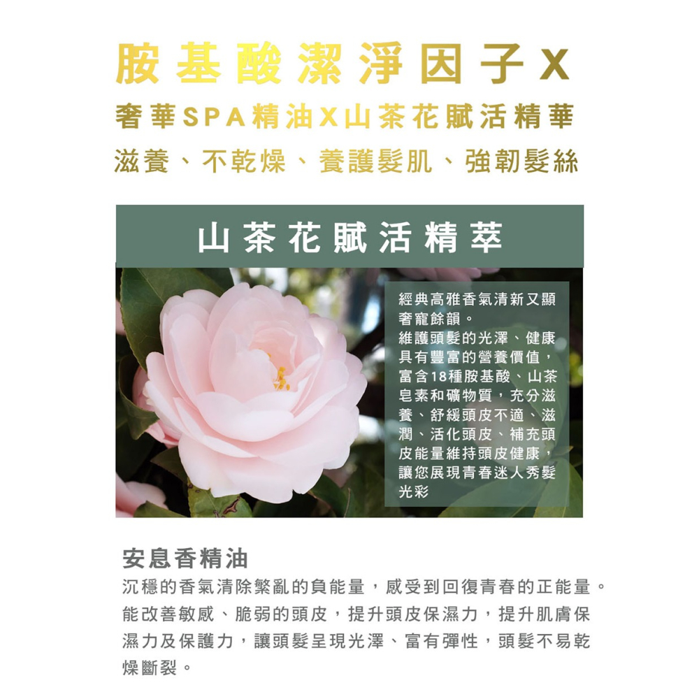 【有好事】愛比森 漫潤悅髮精油洗髮精300ml  洗髮露 玫瑰 山茶花 乾燥滋養 乾性髮質適用 ｜官方授權-細節圖6