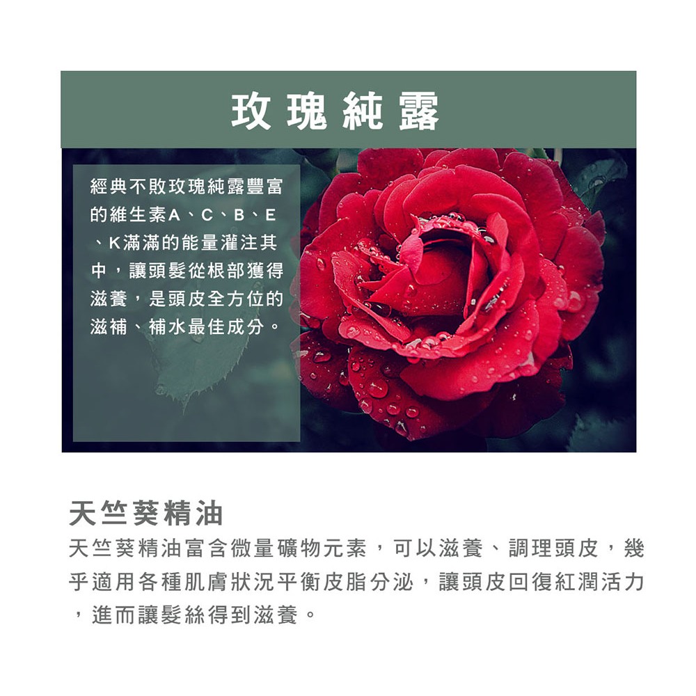 【有好事】愛比森 漫潤悅髮精油洗髮精300ml  洗髮露 玫瑰 山茶花 乾燥滋養 乾性髮質適用 ｜官方授權-細節圖7