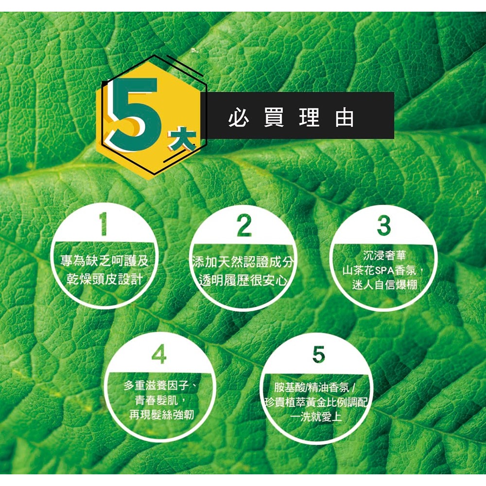 【有好事】愛比森 漫潤悅髮精油洗髮精300ml  洗髮露 玫瑰 山茶花 乾燥滋養 乾性髮質適用 ｜官方授權-細節圖11