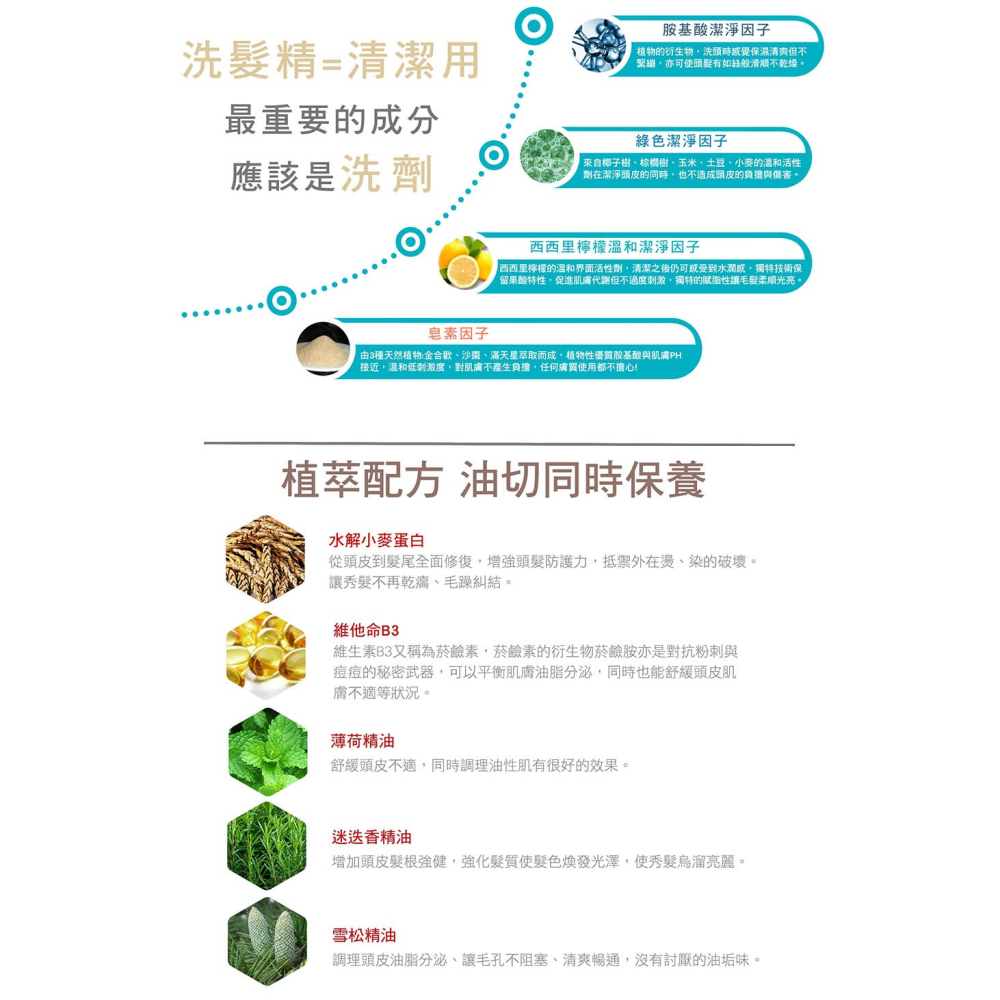 【有好事】 愛比森 迷迭香精油洗髮精300ml 洗髮露 胺基酸 迷迭香 薄荷 三效植萃 油性髮質適用 ｜官方授權-細節圖5