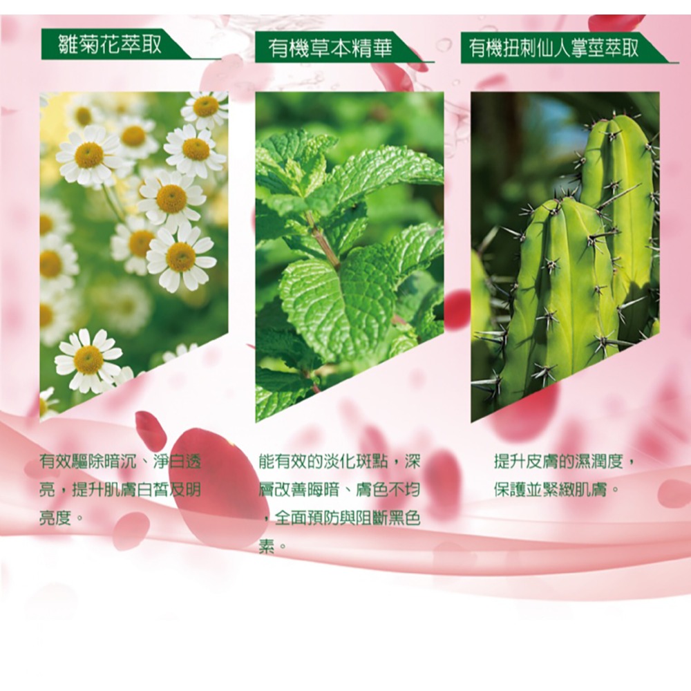 【有好事】愛比森 植萃美妍嫩白面膜10片/盒 溫和保濕 ｜官方授權-細節圖7