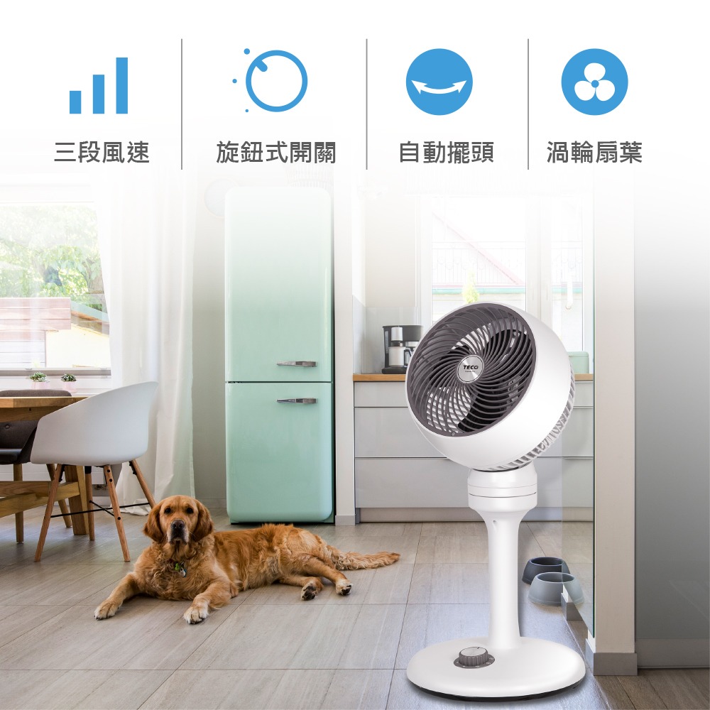 現貨免運公司貨保固✨【TECO東元 立體渦流循環扇 XYFXA0701CA】三段風速 自動擺頭 可拆清潔 空氣循環-細節圖3