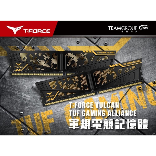 ~協明~ TEAM十銓 TUF Gaming Alliance DDR4-3200 32G(16GBX2) 記憶體
