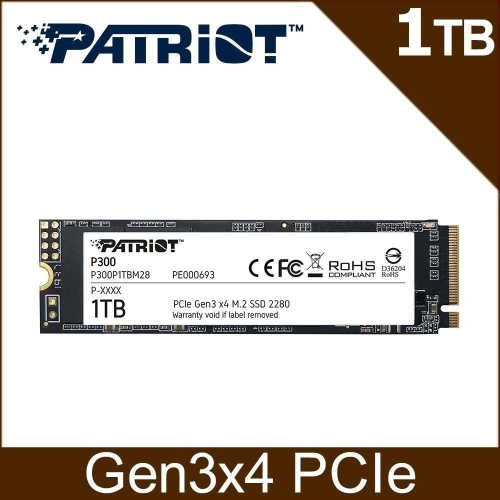 ~協明~ Patriot 美商博帝 P300 M.2 PCIe 256GB 512GB 1TB 2TB SSD固態硬碟