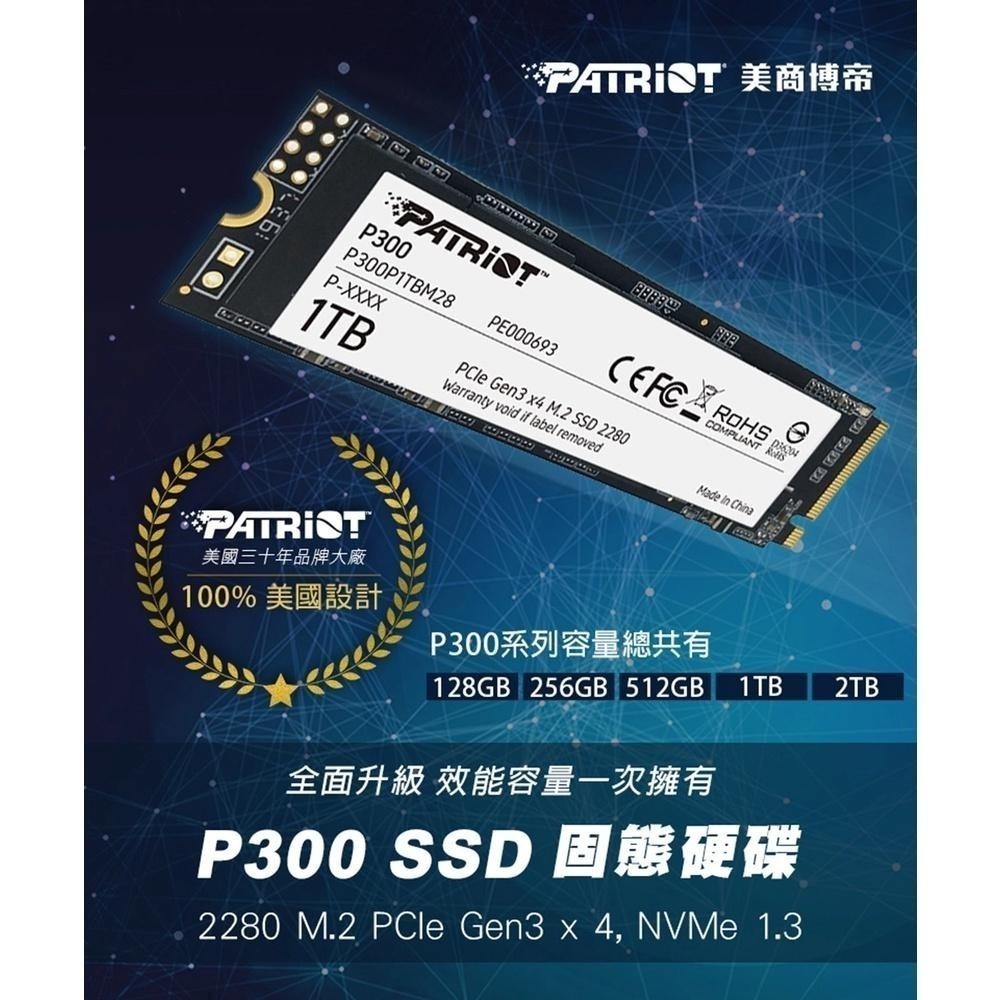 ~協明~ Patriot 美商博帝 P300 M.2 PCIe 256GB 512GB 1TB 2TB SSD固態硬碟-細節圖2