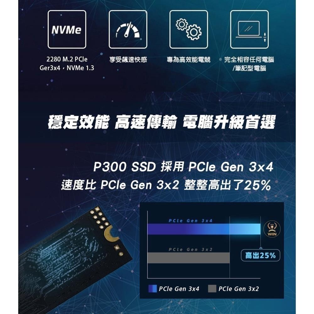 ~協明~ Patriot 美商博帝 P300 M.2 PCIe 256GB 512GB 1TB 2TB SSD固態硬碟-細節圖3