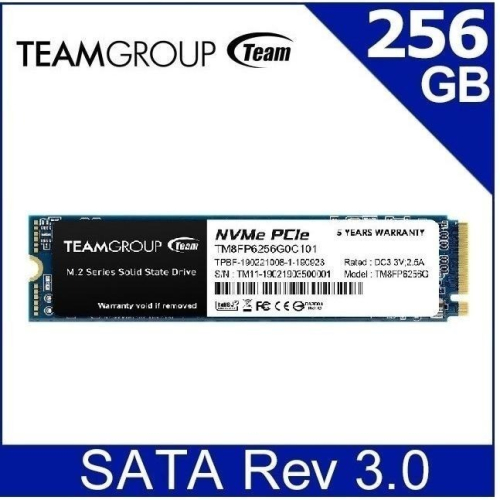 ~協明~ TEAM 十銓 MP33 256GB 512G 1TB M.2 PCIe SSD 固態硬碟