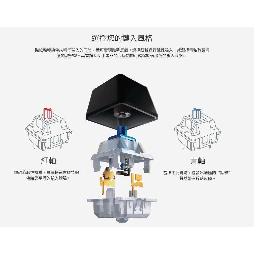 ~協明~ Logitech 羅技 K835 TKL 電競 機械鍵盤 有線鍵盤 青軸 繁體注音-細節圖3