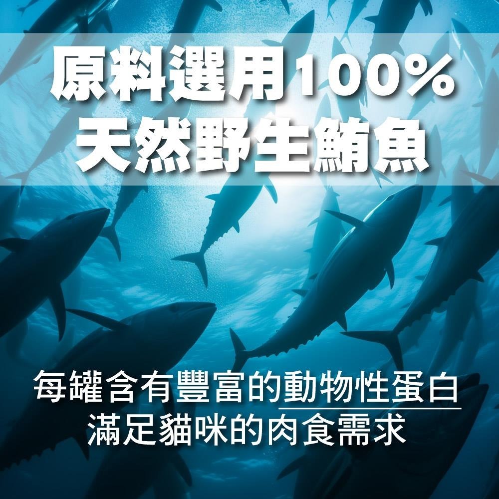 ~協明~ 17喵貓罐 副食罐 全貓種 170g 鮪魚+鯛魚 鮪魚+雞肉 鮪魚+吻仔魚-細節圖2