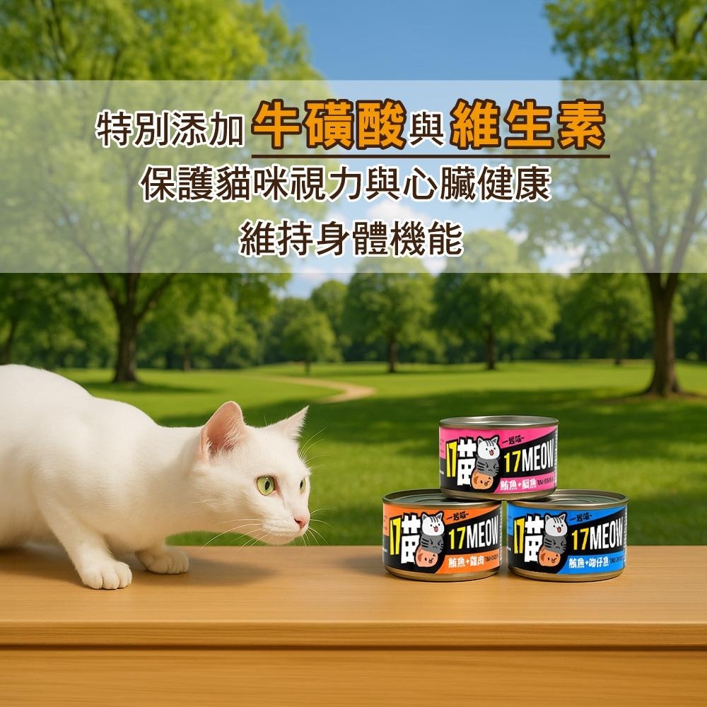 ~協明~ 17喵貓罐 副食罐 全貓種 170g 鮪魚+鯛魚 鮪魚+雞肉 鮪魚+吻仔魚-細節圖3