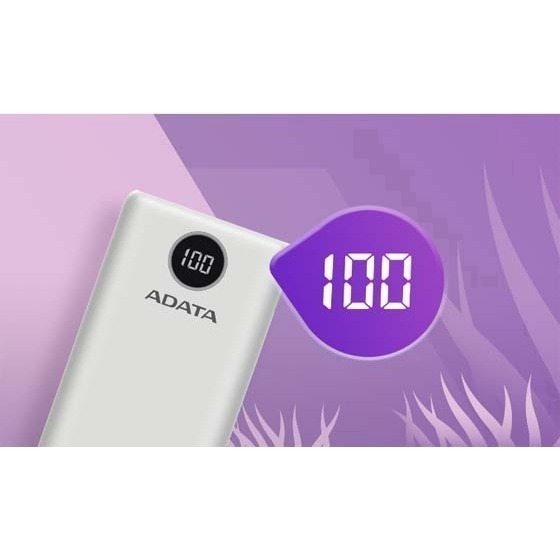 【MR3C】含稅附發票 ADATA 威剛 20000mAh P20000QCD PD快充 行動電源 可攜上飛機-細節圖2