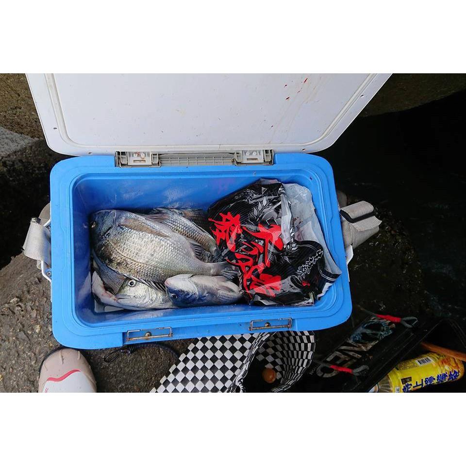 滿點熱銷~麥造~大麥造 磯釣粉餌 海釣誘餌~ 原價180 特價169-細節圖4