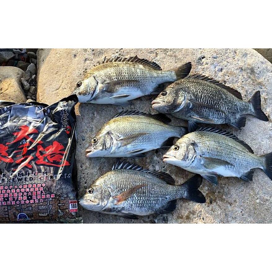 滿點熱銷~麥造~大麥造 磯釣粉餌 海釣誘餌~ 原價180 特價169-細節圖5