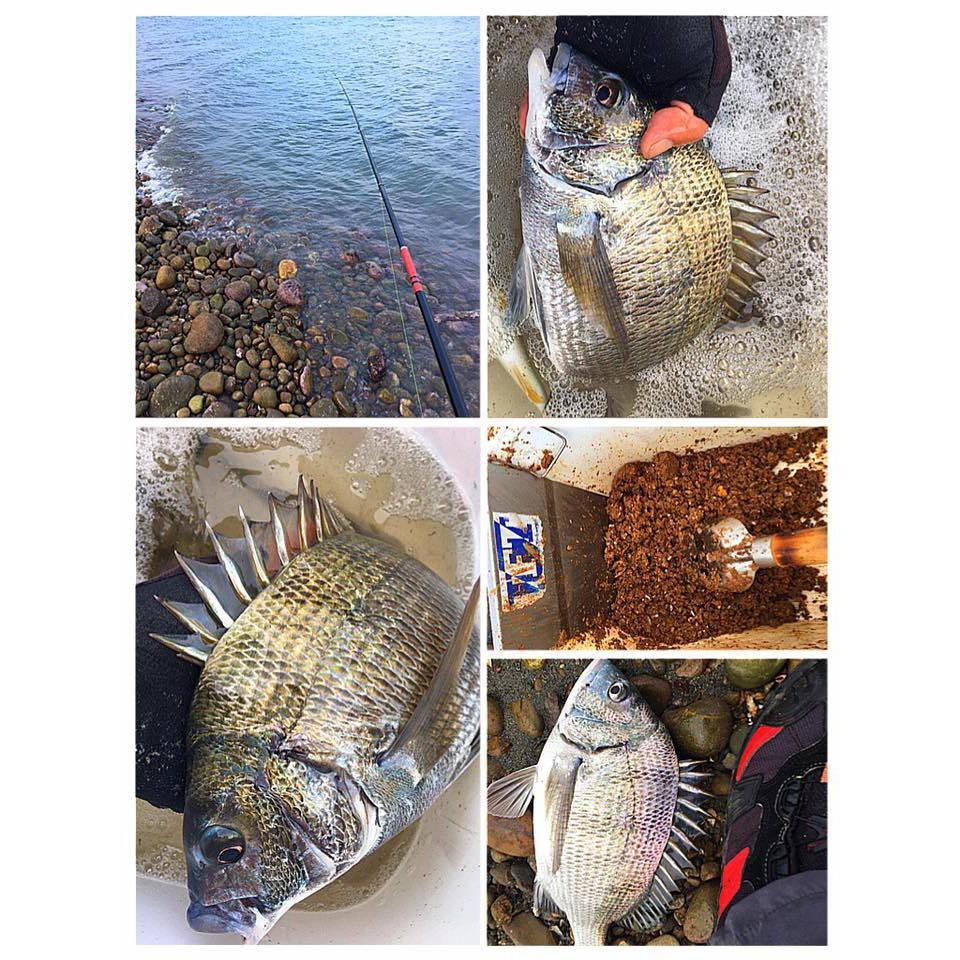 滿點熱銷~麥造~大麥造 磯釣粉餌 海釣誘餌~ 原價180 特價169-細節圖6