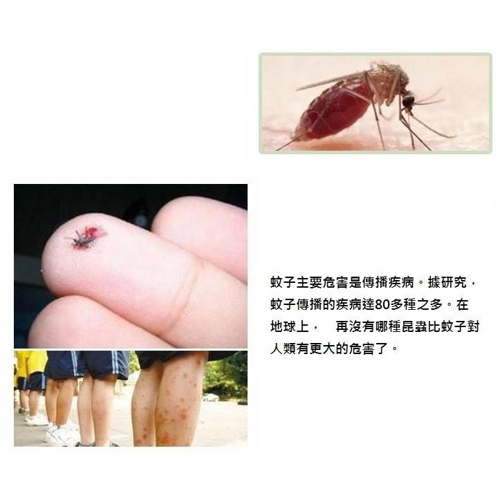 自黏型 防蚊紗窗 👍 自黏型防蚊紗窗 DIY防蚊窗紗 防蚊紗網 隱形簡易紗窗 紗窗修補貼 紗窗 防蚊-細節圖3