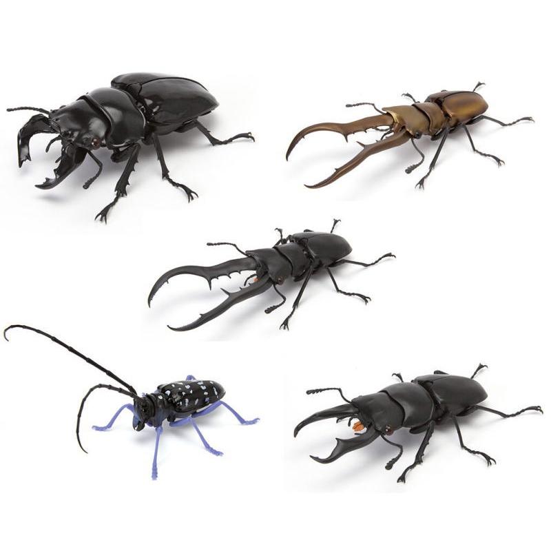 [御宅族] BANDAI 代理 轉蛋 扭蛋 鍬形蟲環保扭蛋04 全5種 非洲大黑豔 美他利佛細身赤鍬形蟲 馬拉白星天牛-細節圖2