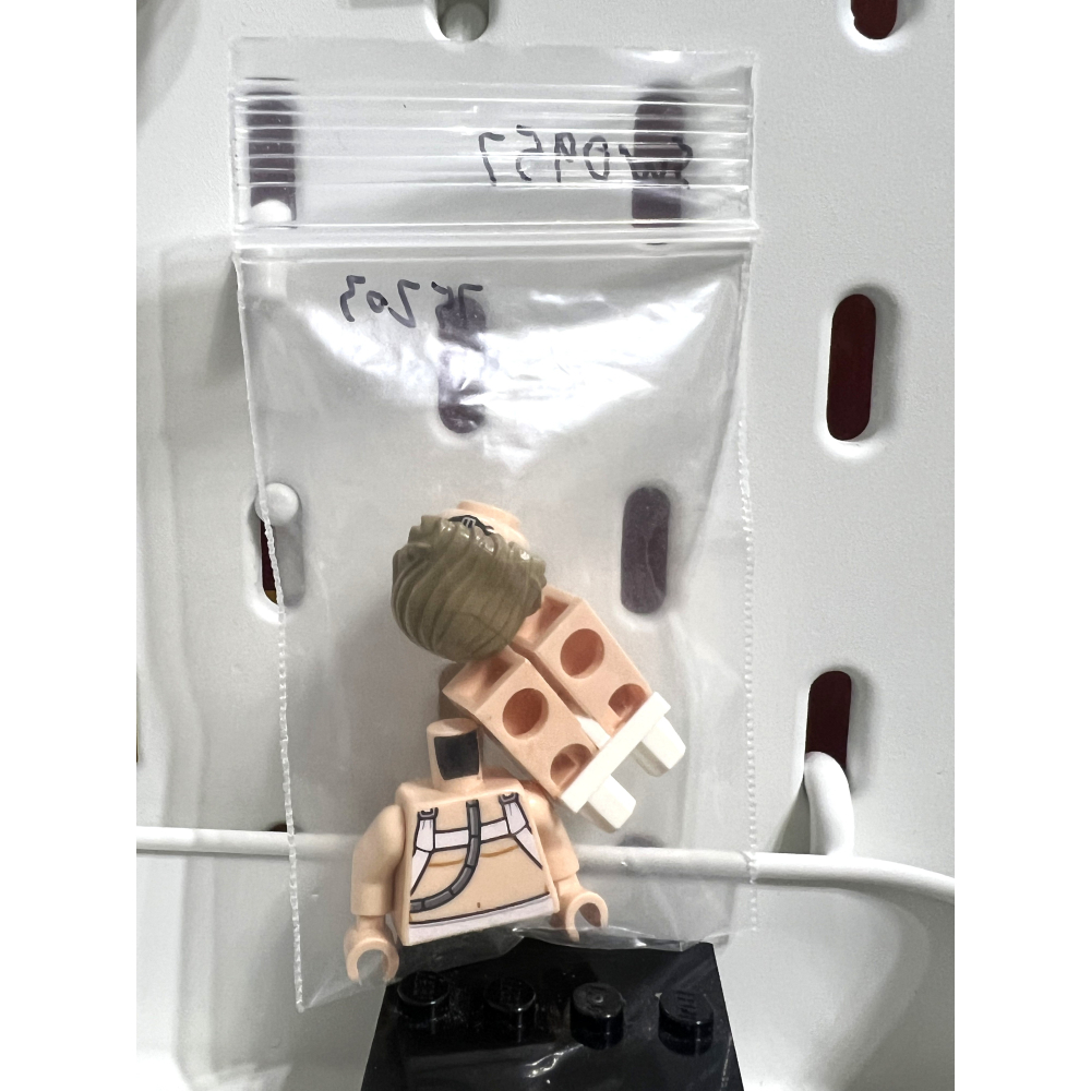 SW0957 75203 樂高人偶 星際大戰 樂高 星戰 人偶 請詳閱-細節圖2