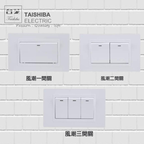 台芝 TAISHIBA 風潮系列 接地插座 開關 TLS051 TLS052 TLS053