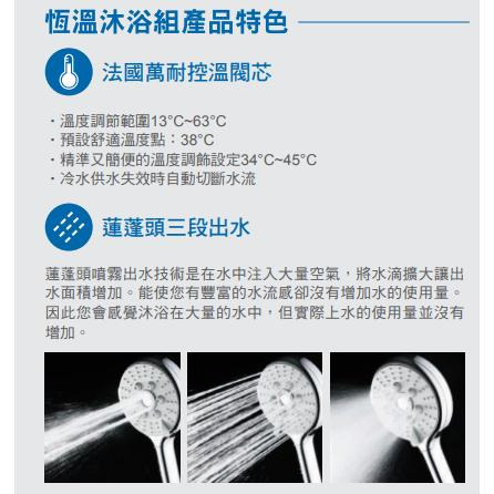 BOSS SPA恆溫沐浴龍頭附平台 109398 法國Vernet控溫閥芯 溫控淋浴花灑 自潔功能 台灣製-細節圖3