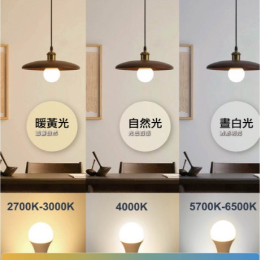 飛利浦 LED DN028 易省 崁燈 15cm 13W-細節圖3