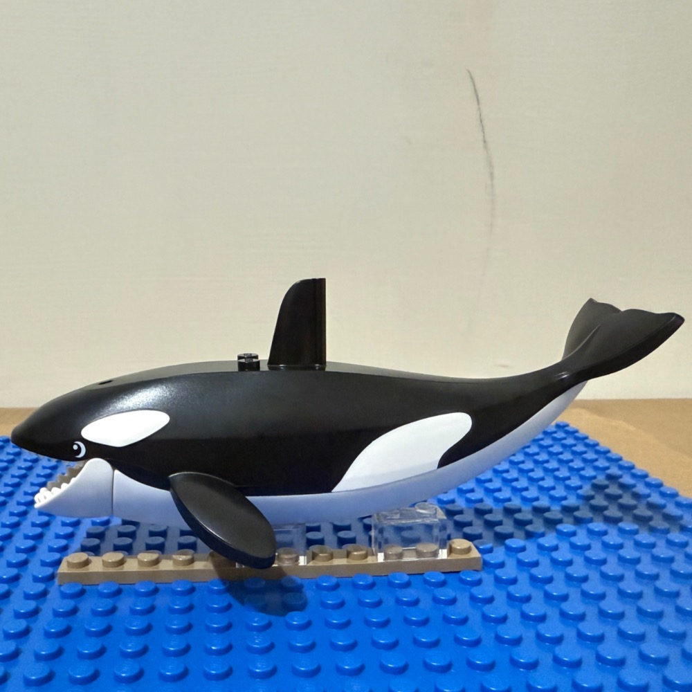 樂高60368 虎鯨 bb1319pb01c02  動物系列-細節圖2