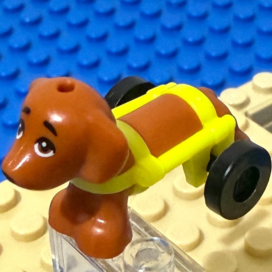 樂高動物狗和犬：聖誕拉布拉多；警犬；消防犬；救援犬；輪椅狗；小德國牧羊犬-細節圖5