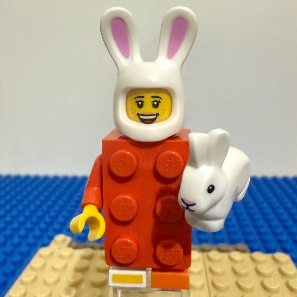 樂高 BAM 自組人偶（bam）-規格圖1