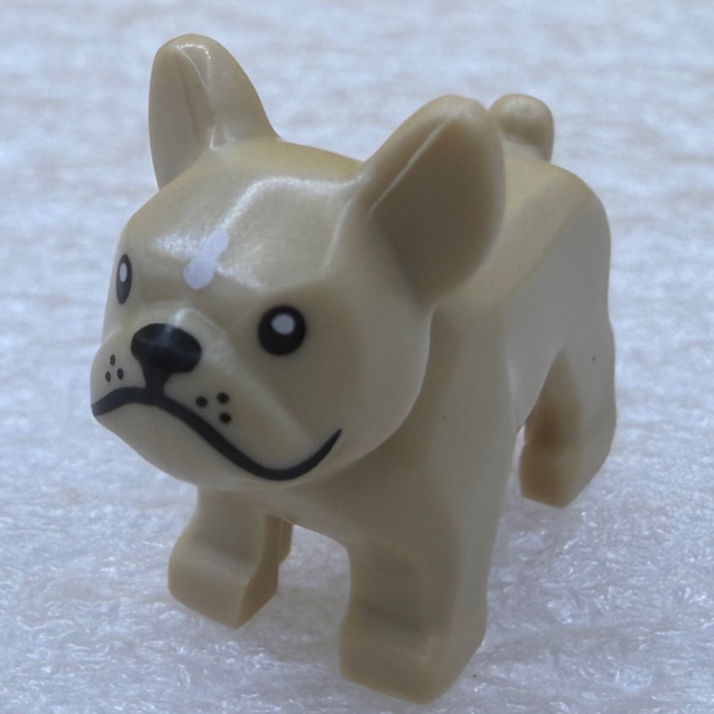 樂高動物零件：哈巴狗/法鬥、警犬/狼犬、松鼠、泰迪熊-規格圖2