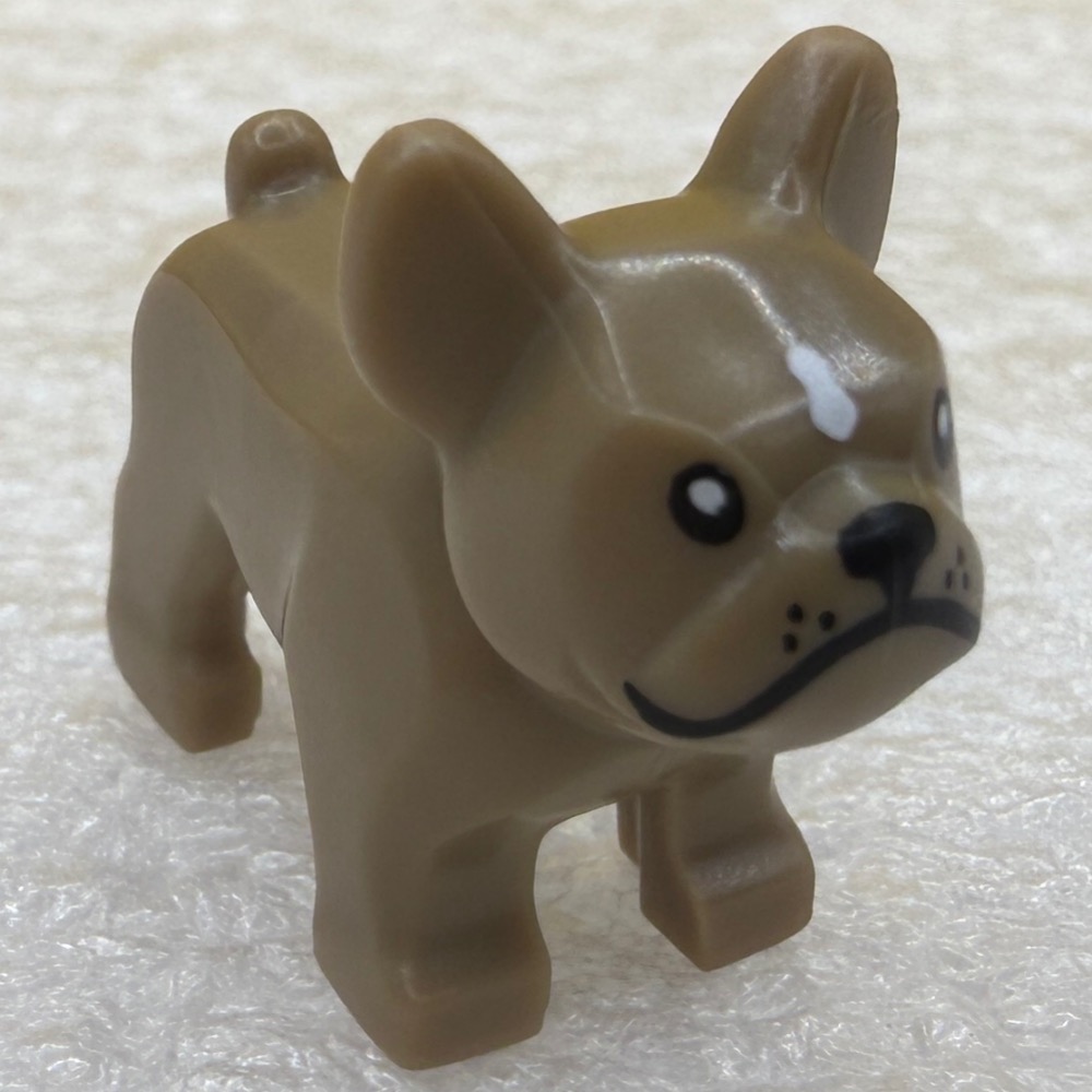 樂高動物零件：哈巴狗/法鬥、警犬/狼犬、松鼠、泰迪熊-規格圖2