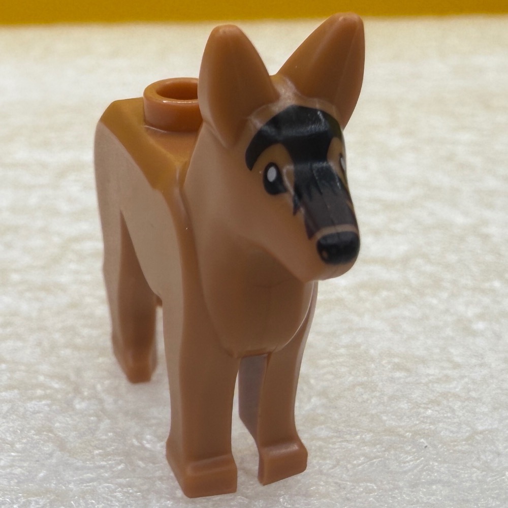 樂高動物零件：哈巴狗/法鬥、警犬/狼犬、松鼠、泰迪熊-規格圖2