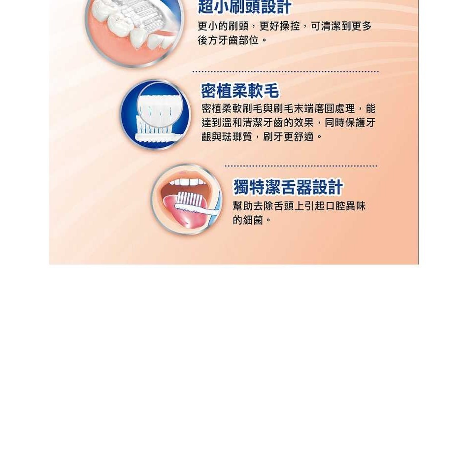 高露潔 潔淨護齦 & 專業型 牙刷 高露潔牙刷-細節圖7