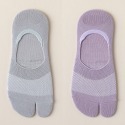 灰色(1入)+紫色(1入)