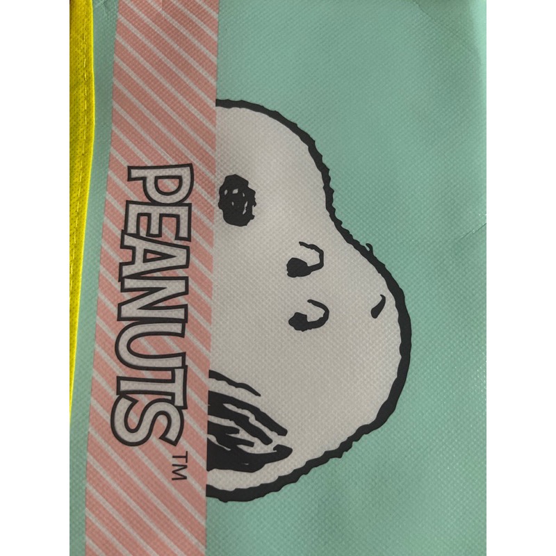 全新 史努比 保溫 保冷袋 手提 外出 旅遊必備 蘋果綠-細節圖2