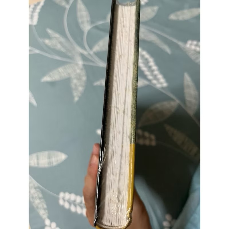 全新 梵谷 藝術 書籍 大師名作-細節圖3