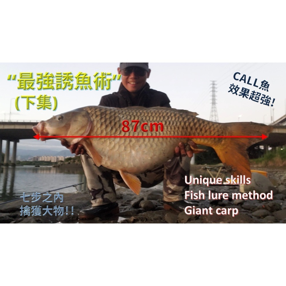 福壽螺粉末_(必殺誘餌4.0)烏鰡必殺餌大烏溜大青魚最愛_金寶螺粉末_可誘可釣_新鮮福壽螺直接製成粉末_螺味十足-細節圖2