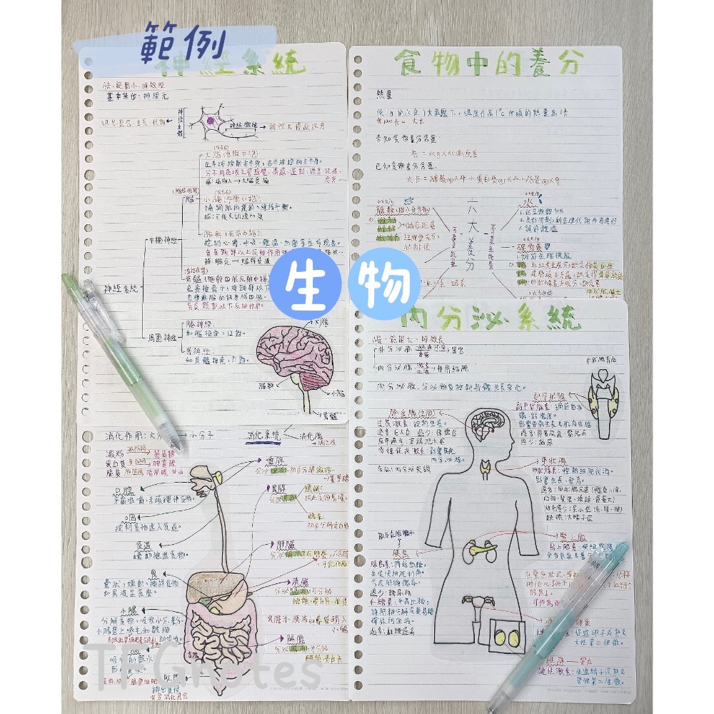 北一女⁠×⁠建中姐弟 會考5A++滿級分 國中全科重點精華筆記 全科七~九年級_116、117、118會考皆適用-細節圖8