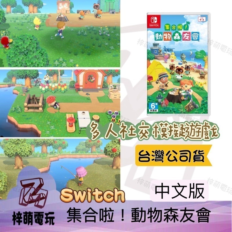 ［兩隻臘腸］NS Switch 動物森友會 中文版 動物之森 集合啦 動物森友會 全新未拆 遊戲片 動森之友會 動森-細節圖2