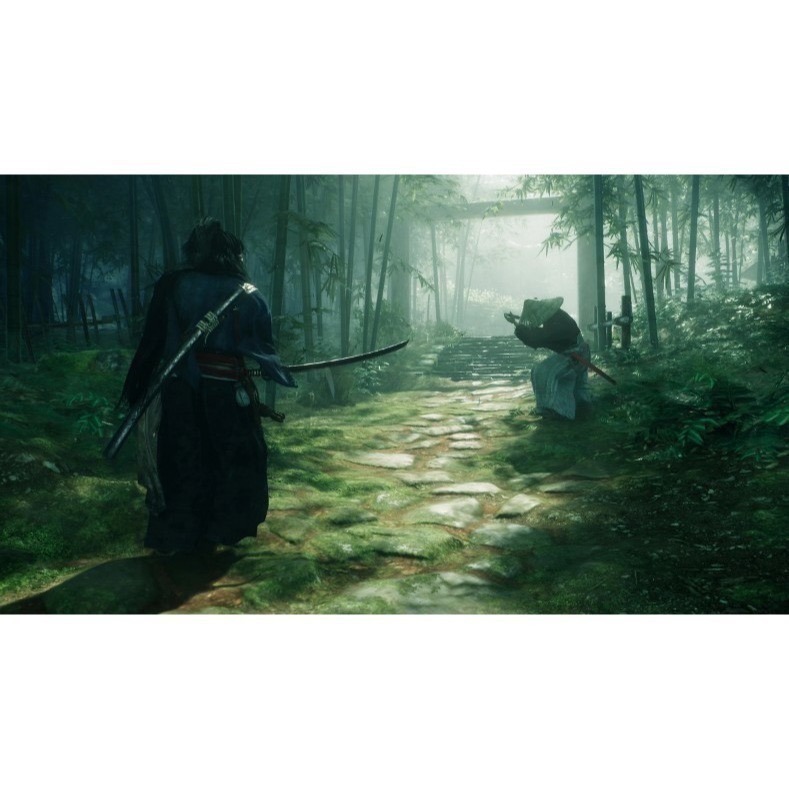 【兩隻臘腸】現貨 免運 PS5 浪人崛起 台南電玩 遊戲片-細節圖2